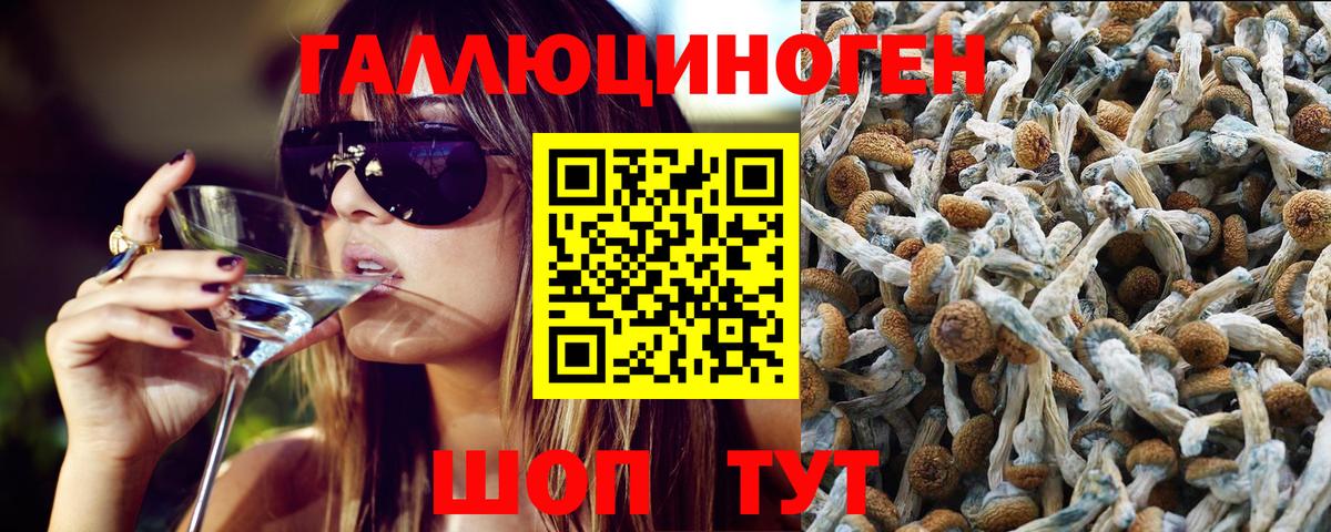 Галлюциногенные грибы Psilocybine cubensis  Вход с VPN  Киреевск 