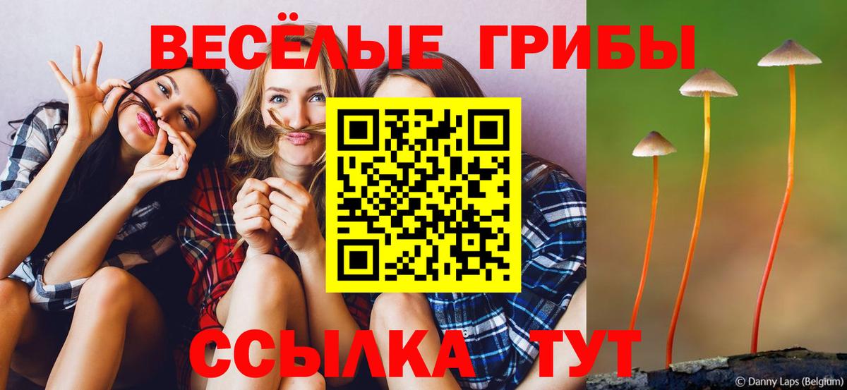 Галлюциногенные грибы мухоморы Киреевск